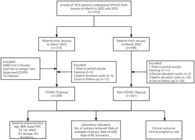 Impact of COVID-19 convalescence on pregnancy outcomes in patients undergoing IVF/ICSI during fresh ART cycles: a retrospective cohort study